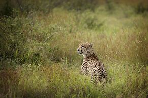 Lukimbi Safari Lodge