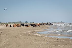 Green Village Resort