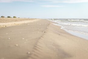 Green Village Resort