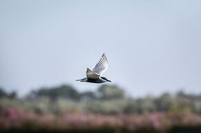 Green Village Resort