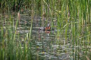 Green Village Resort