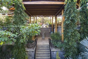Bodhi Tree Yoga Resort