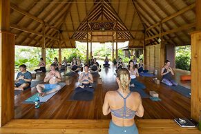 Bodhi Tree Yoga Resort
