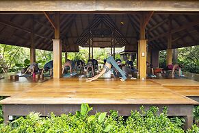 Bodhi Tree Yoga Resort