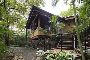 Bodhi Tree Yoga Resort
