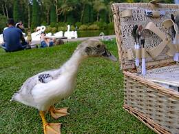 Hotel Bangalôs da Serra
