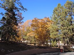 Escape For All Seasons