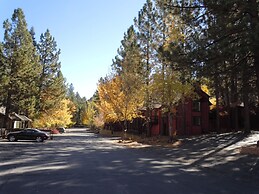 Escape For All Seasons