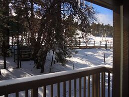 Escape For All Seasons