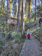 Hotel Les Cabanes Dans Les Bois
