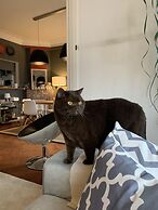 Welcome to my place B&B