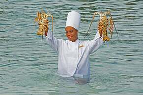 Warwick Paradise Island- All Inclusive- Adults Only