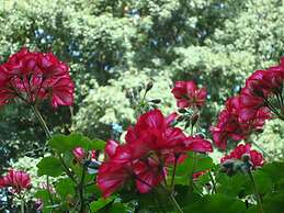 B&B Brigitte & Alain