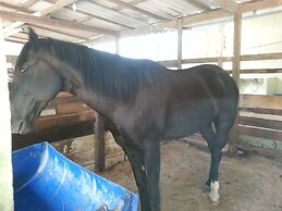 Chácara Santa Bárbara