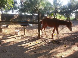 Chácara Santa Bárbara