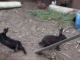 Chácara Santa Bárbara