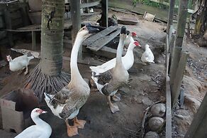 Chácara Santa Bárbara