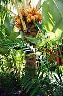 Louto Dmell Guesthouse & Villa