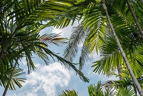 Marina Express - Fisherman - Aonang