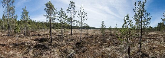 Hotelli Tarjanteen majoitushuoneet Virrat