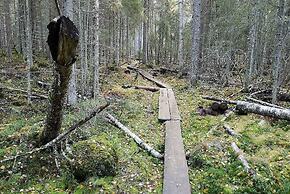 Hotelli Tarjanteen majoitushuoneet Virrat