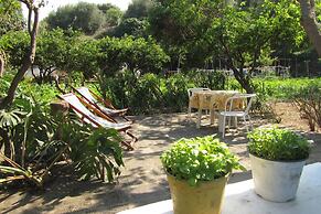 Come In Sicily - Pietramonaca