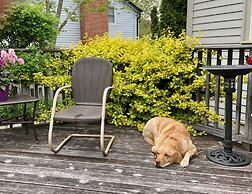 Antique Slumber Old Town Bed & Breakfast