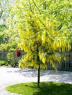 Antique Slumber Old Town Bed & Breakfast