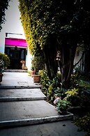 Hostal Cuija Coyoacán