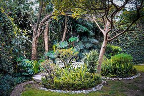 Hostal Cuija Coyoacán