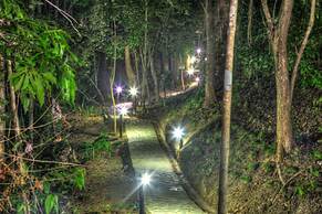 Villa Maria Tayrona, Jungle and Sea Experience