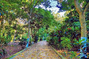 Villa Maria Tayrona, Jungle and Sea Experience