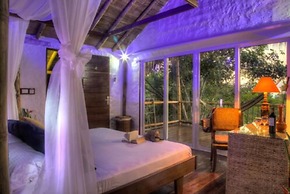 Villa Maria Tayrona, Jungle and Sea Experience