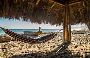 Villa Maria Tayrona, Jungle and Sea Experience