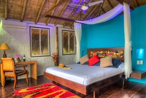 Villa Maria Tayrona, Jungle and Sea Experience