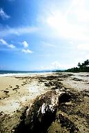 Villa Maria Tayrona, Jungle and Sea Experience