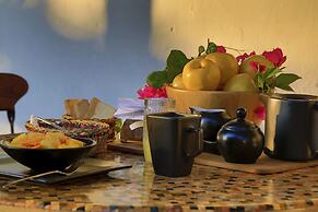 Villa Maria Tayrona, Jungle and Sea Experience