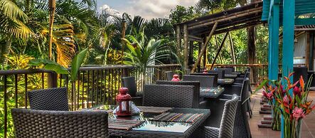 Villa Maria Tayrona, Jungle and Sea Experience