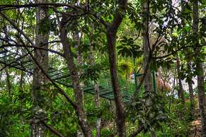 Villa Maria Tayrona, Jungle and Sea Experience