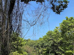 Villa Maria Tayrona, Jungle and Sea Experience