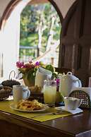 Villa Maria Tayrona, Jungle and Sea Experience