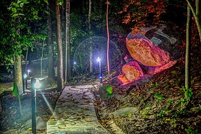 Villa Maria Tayrona, Jungle and Sea Experience