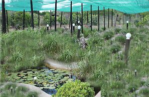 Tshimologo Farm Guest House