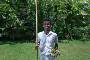 Calamansi Cove Villas
