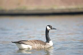 Hotel Restaurant Brasserie Ahoi, Kortrijk