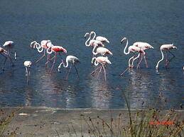 Villaggio Camping Torre Salinas