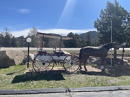 Saddle & Surrey Motel