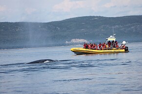 Gîte La Bergeronnette