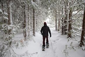 Blue Mountain Resort Village Suites