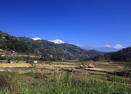 The Pavilions Himalayas The Farm